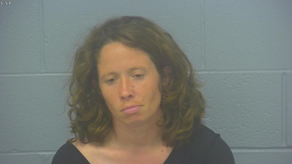 Arrest photo of ALISON JANSS