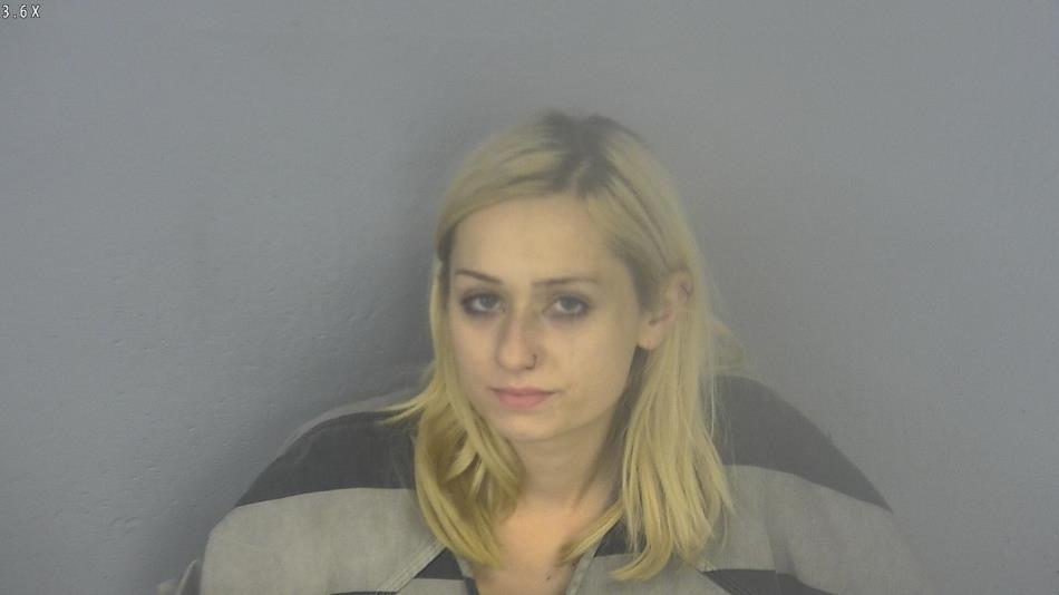 Arrest photo of ALISSA BLEAU