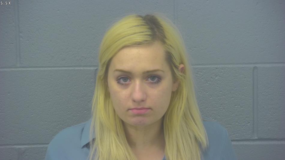 Arrest photo of ALISSA BLEAU