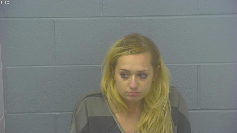 Arrest photo of ALISSA BLEAU