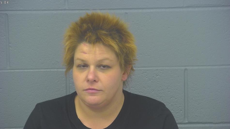 Arrest photo of ALLISE DORMAN