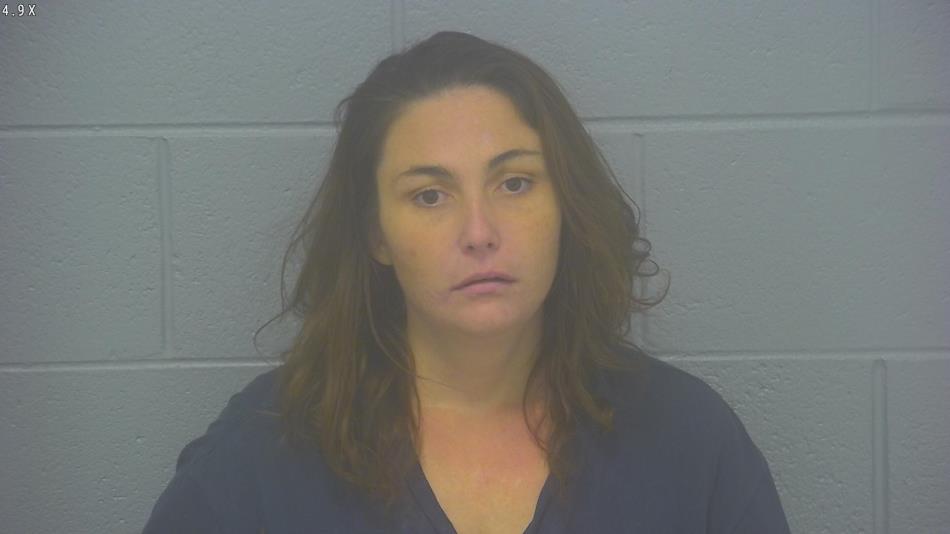 Arrest photo of ALLISHA POLIMENI