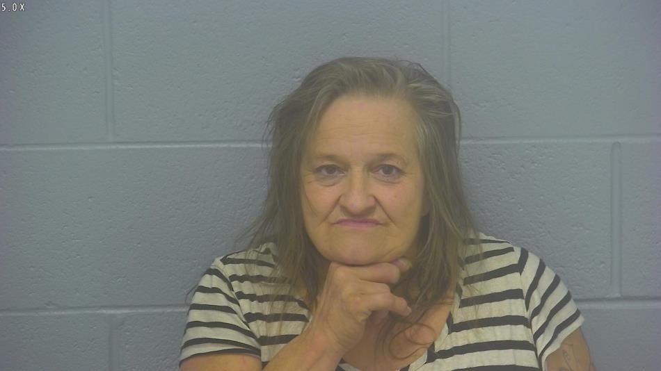 Arrest Photo of ALLISON HEJDUK, arrested on 7/16/2024