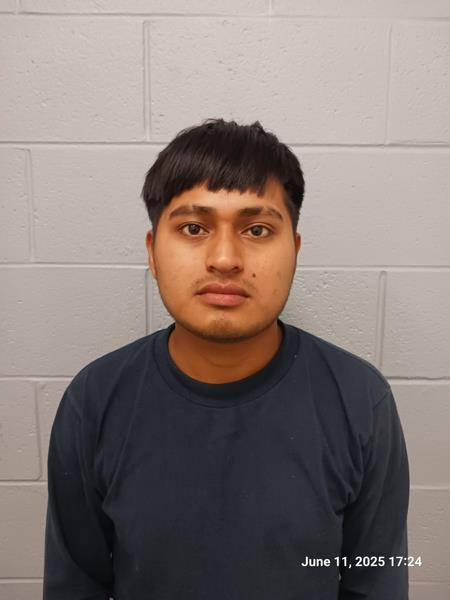 Arrest photo of ALVI RAMIREZ