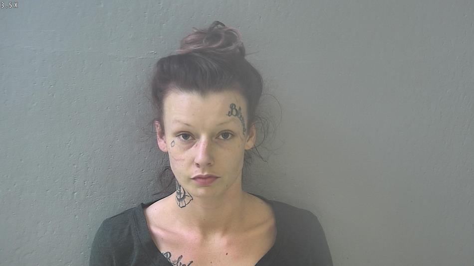 Arrest photo of ALYSSA BURCH