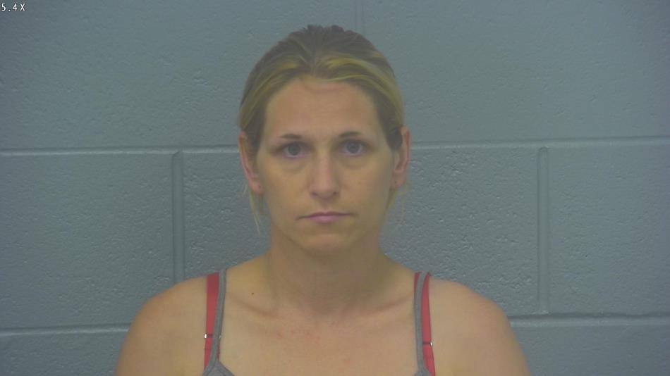 Arrest photo of ALYSSA HICKS