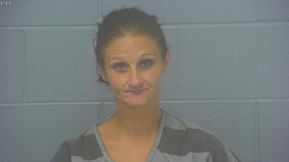 Arrest Photo of AMANDA LYNCH, arrested on 9/22/2024