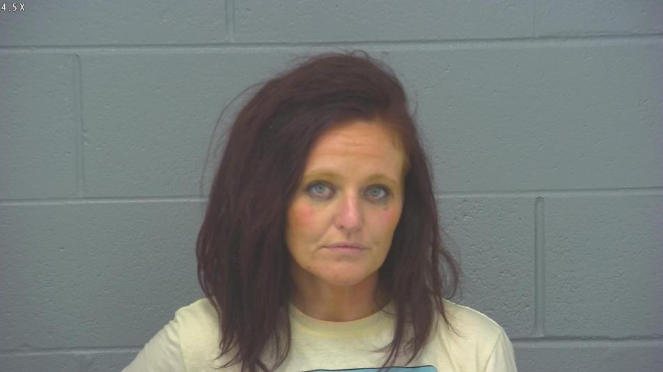 Arrest photo of AMANDA HAMMONTREE