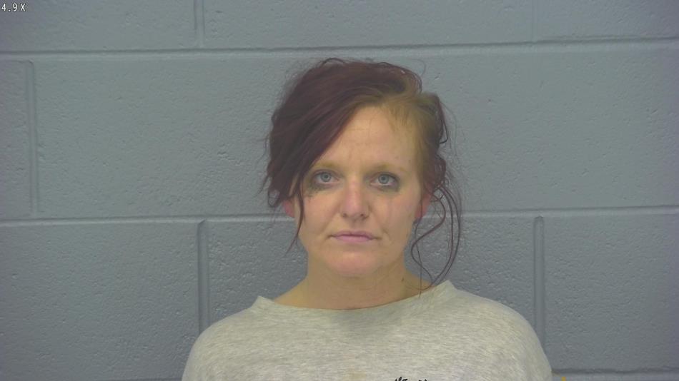 Arrest photo of AMANDA HAMMONTREE