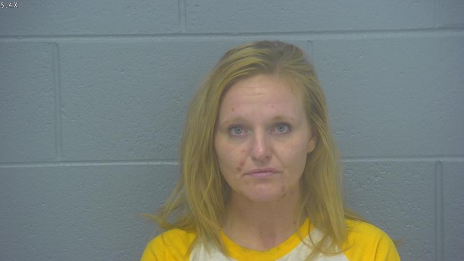 Arrest photo of AMANDA HAMMONTREE