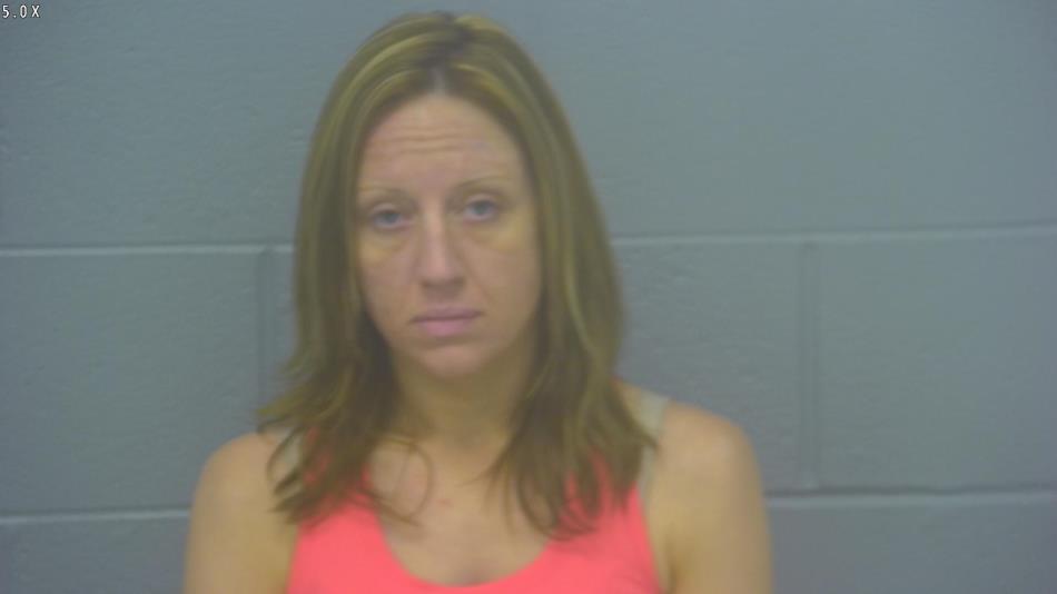 Arrest photo of AMANDA BARNES