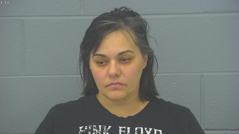 Arrest photo of AMANDA GORLOVITSKI