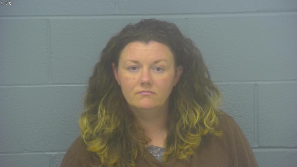 Arrest photo of AMANDA PETRZILKA