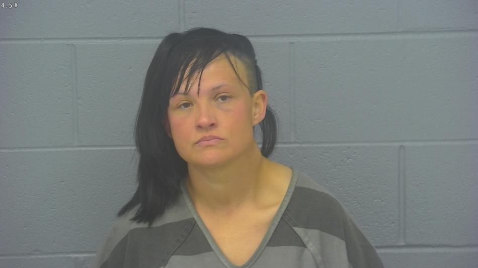 Arrest photo of AMANDA GUERIN