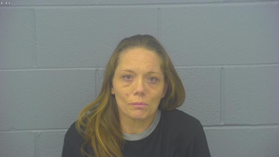 Arrest photo of AMANDA WILLIAMS