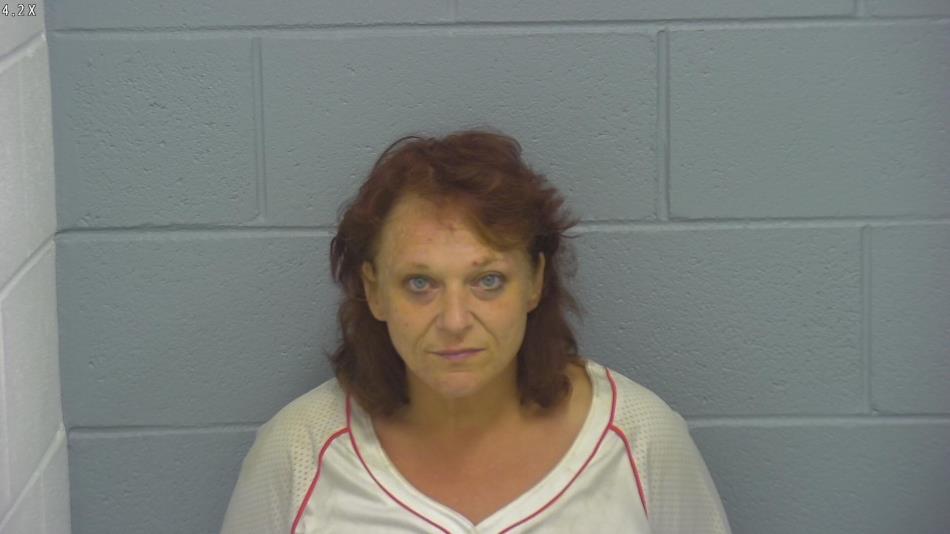 Arrest photo of AMANDA COLLIER