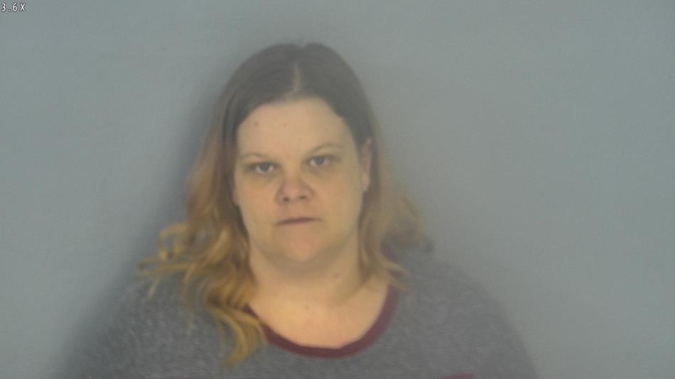 Arrest photo of AMANDA SARTIN