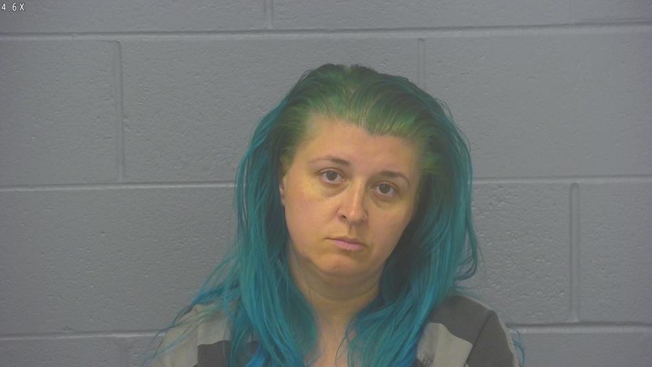 Arrest photo of AMANDA SIMPSON