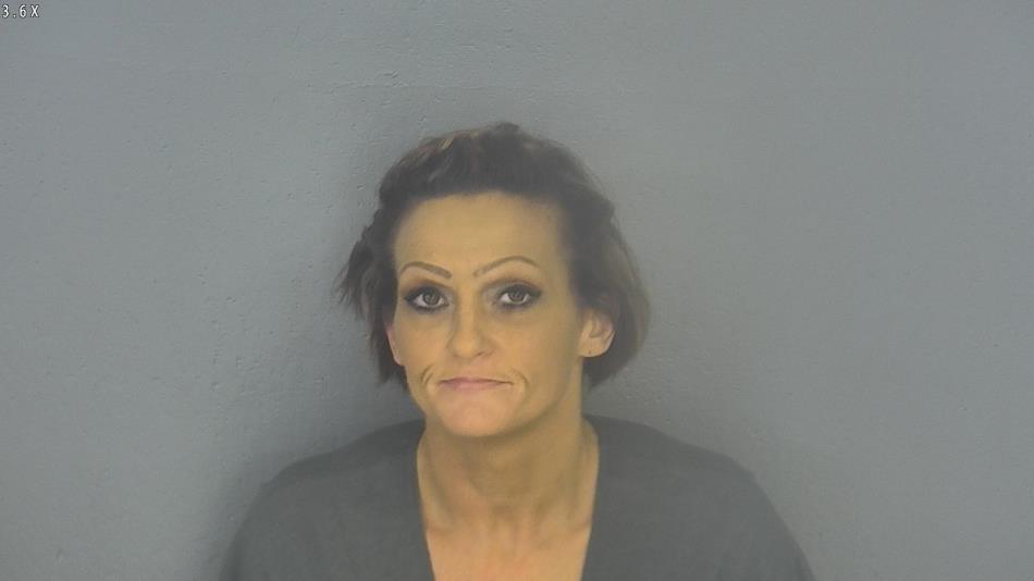 Arrest photo of AMANDA STAPLES