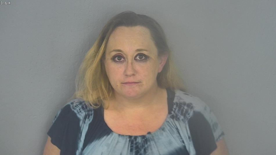 Arrest photo of AMANDA VENSEL