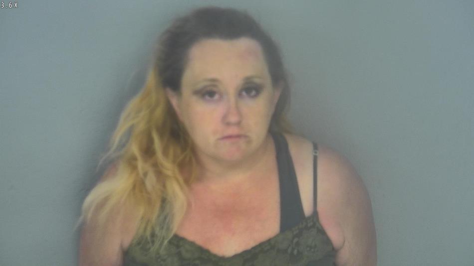 Arrest photo of AMANDA VENSEL