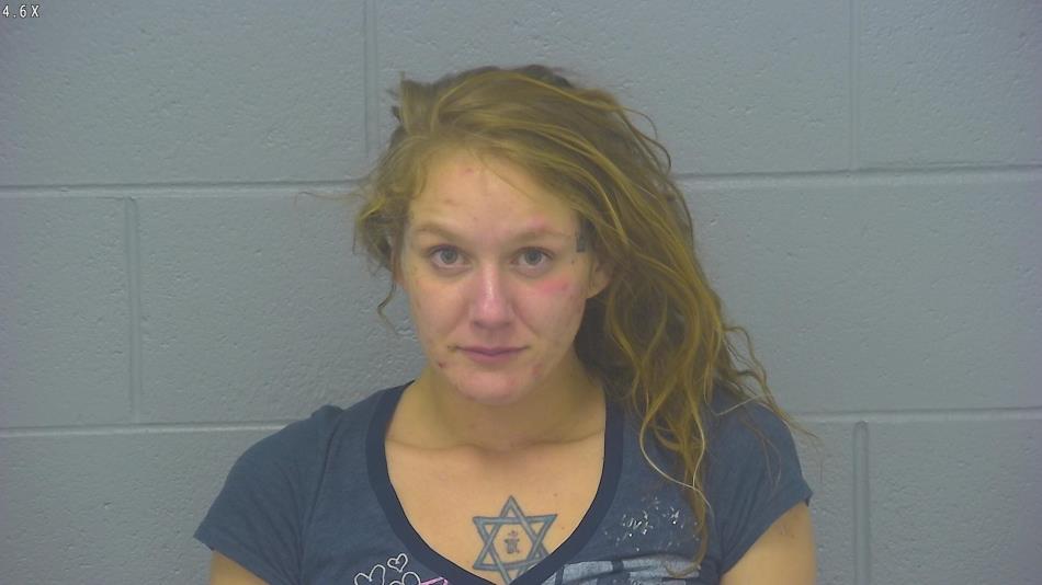 Arrest photo of AMANDA BOYLE