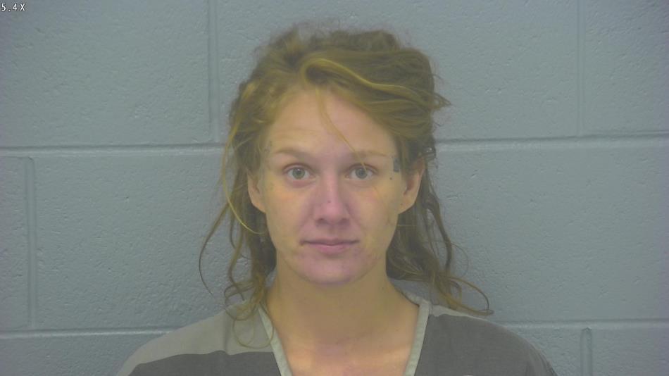 Arrest photo of AMANDA BOYLE