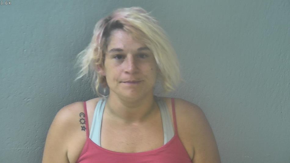 Arrest photo of AMANDA FLORES