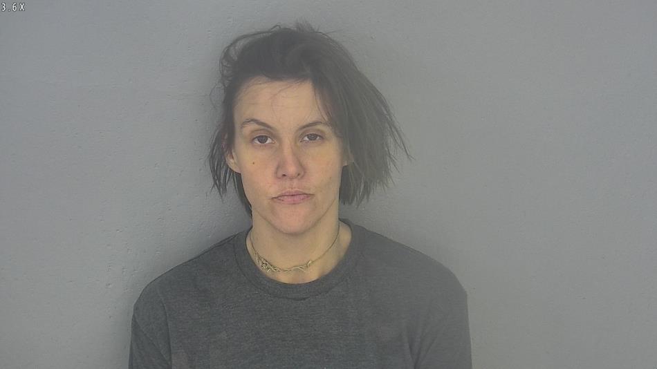 Arrest photo of AMANDA BROWN