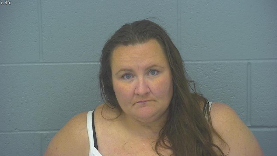 Arrest photo of AMANDA BITTICK