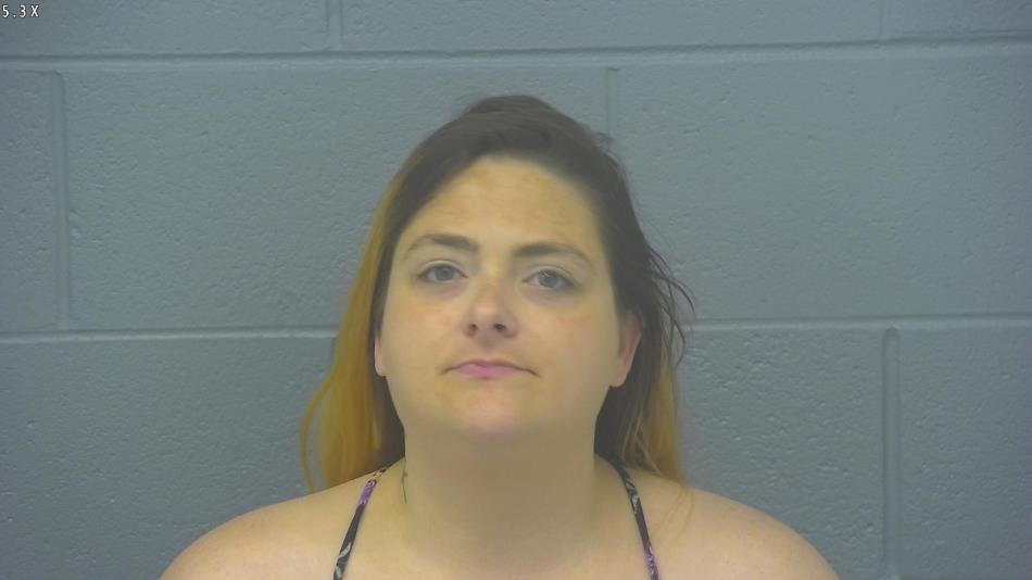 Arrest photo of AMANDA MERRITT