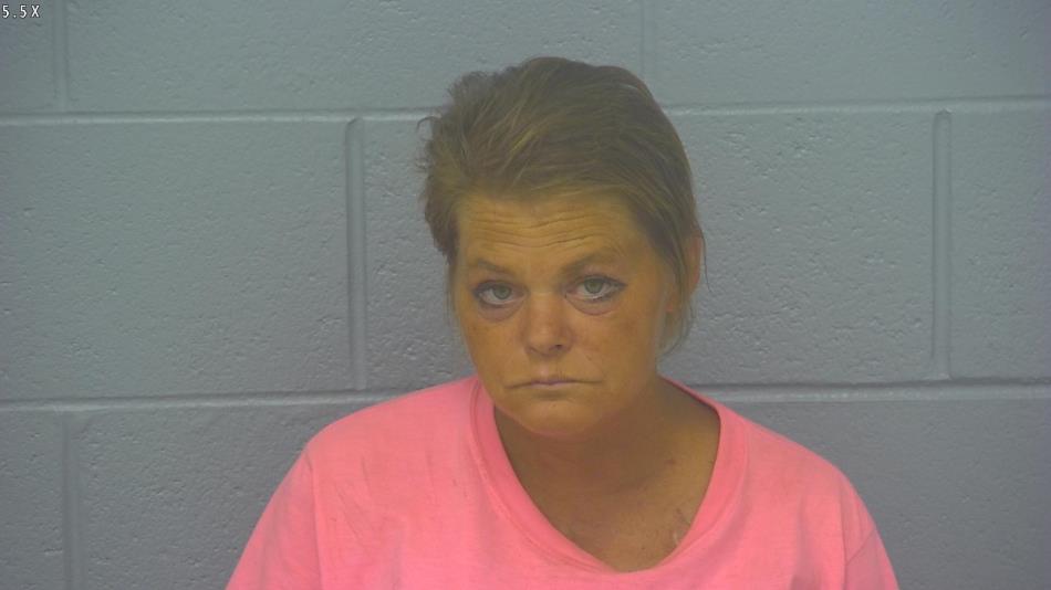 Arrest photo of AMANDA CLIMER