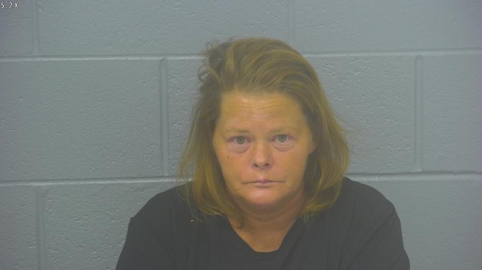 Arrest photo of AMANDA CLIMER