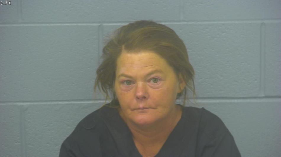 Arrest photo of AMANDA TURNER