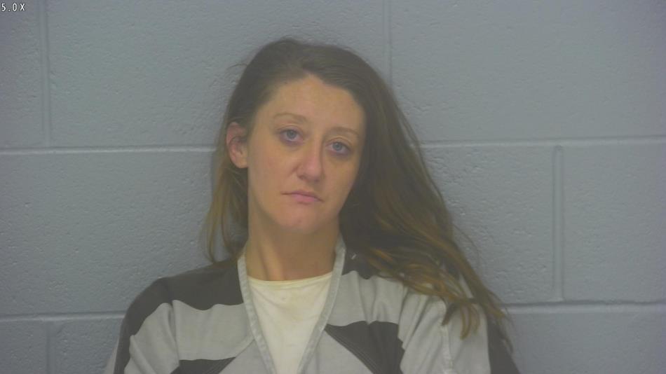 Arrest Photo of AMANDA DOBBS, arrested on 5/11/2024