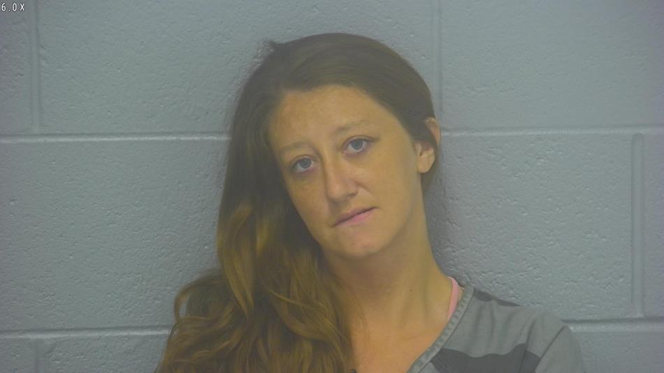 Arrest photo of AMANDA DOBBS