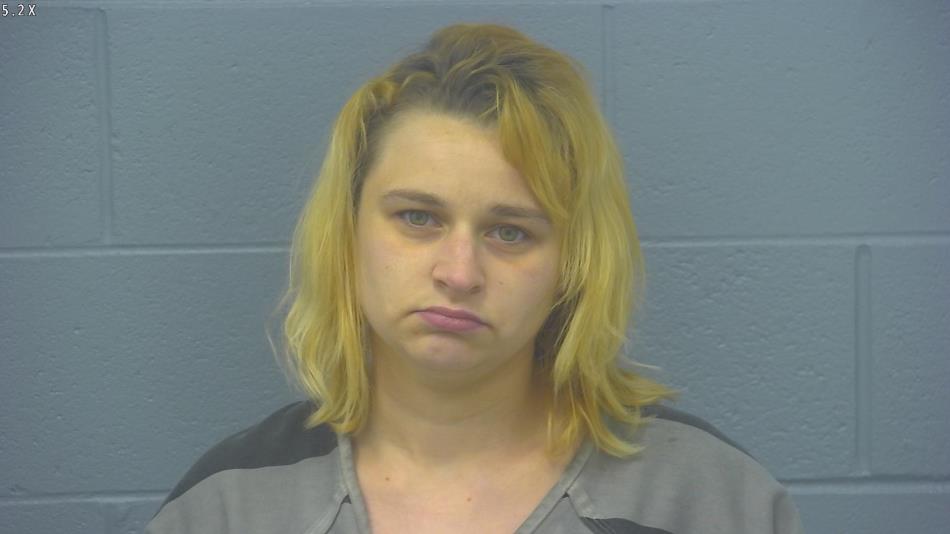 Arrest photo of AMANDA LORTZ