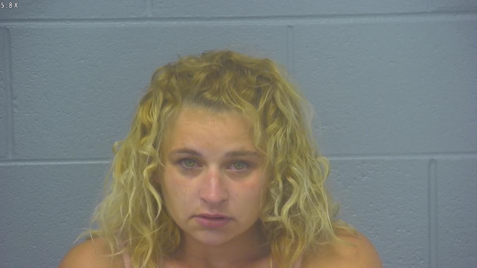 Arrest photo of AMANDA LORTZ