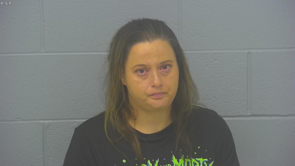 Arrest photo of AMANDA COUNTS