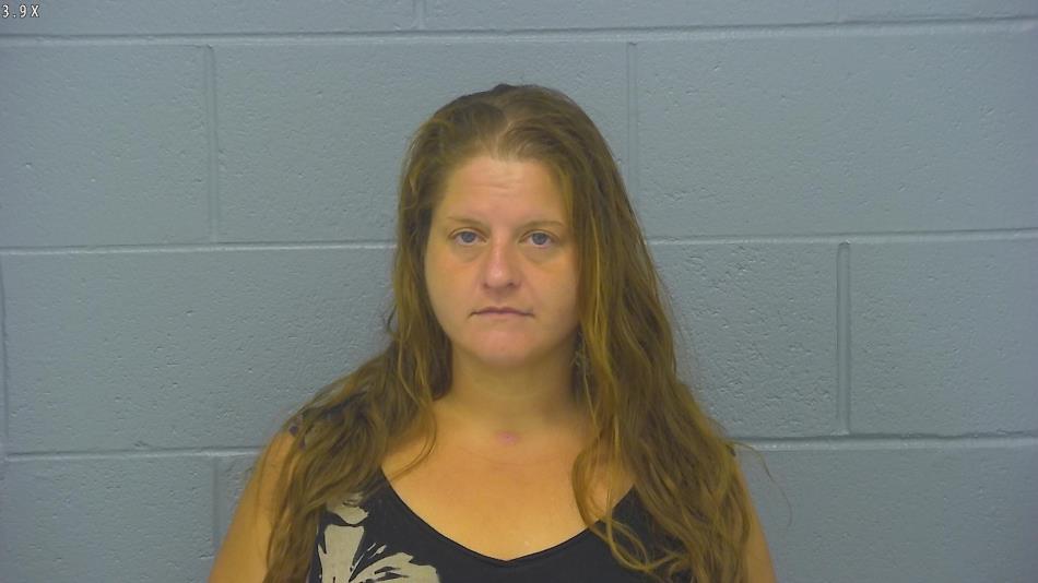 Arrest photo of AMANDA HICKS