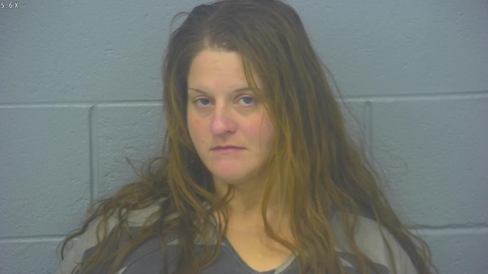 Arrest photo of AMANDA HICKS