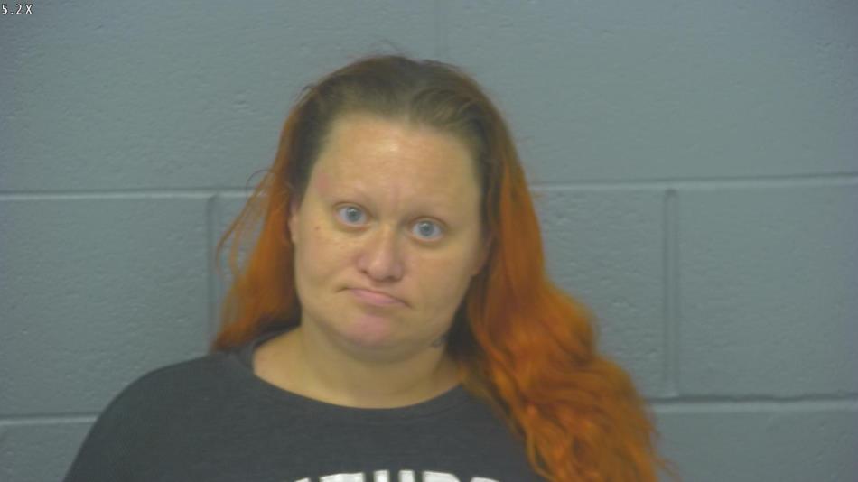 Arrest photo of AMANDA MANES