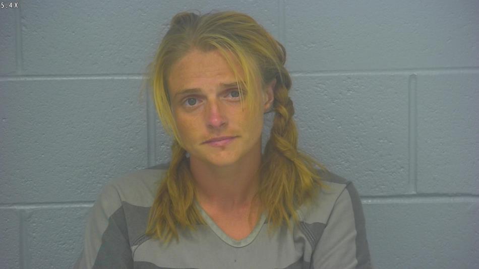 Arrest photo of AMANDA MEFFORD