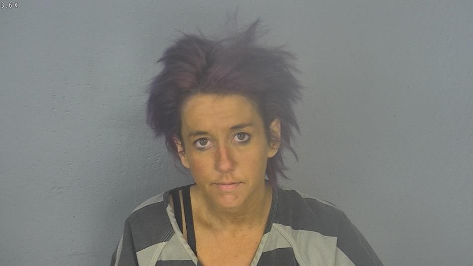 Arrest photo of AMANDA RIDDLE