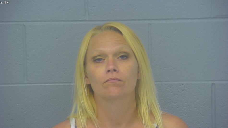 Arrest photo of AMANDA HOKE