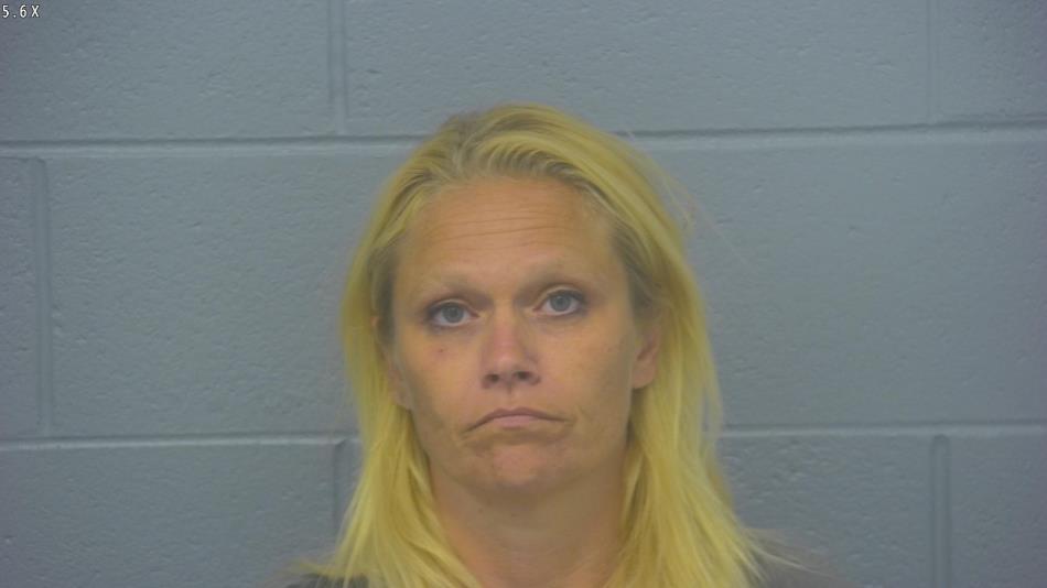 Arrest photo of AMANDA HOKE