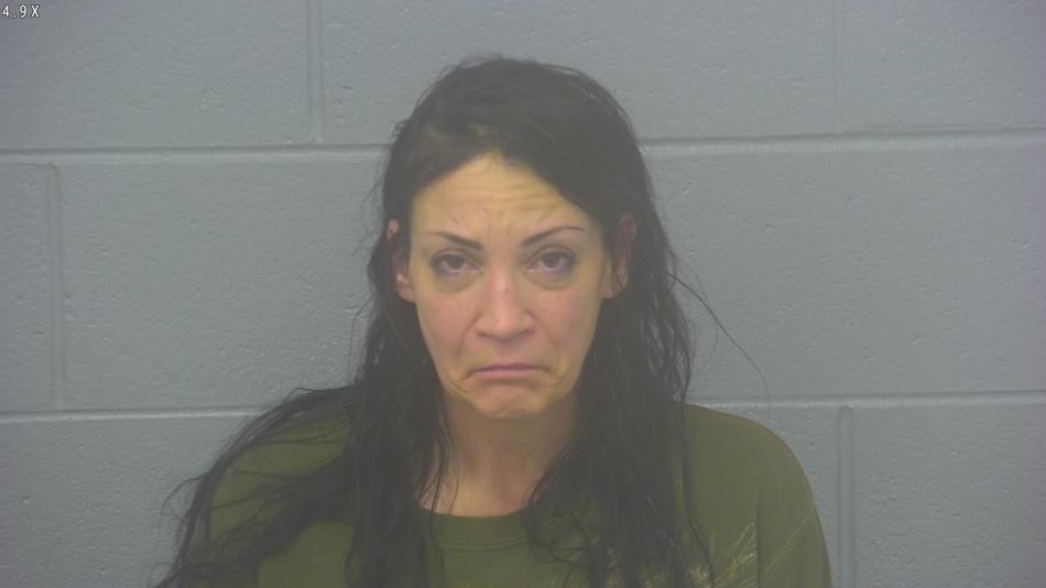 Arrest Photo of AMANDA MCCLAIN, arrested on 12/7/2024