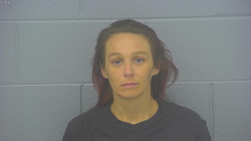 Arrest photo of AMANDA SMITH