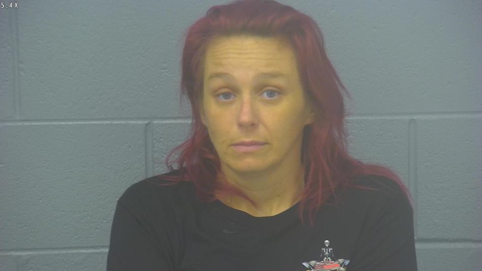 Arrest photo of AMANDA SMITH