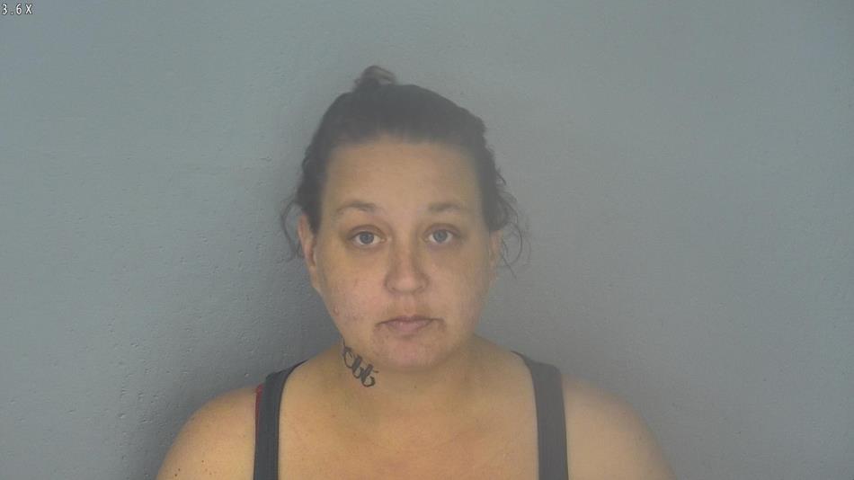 Arrest photo of AMBER HOKE